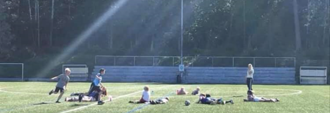 Ballskole